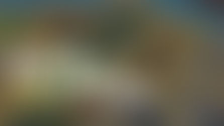 Step back to see the Board