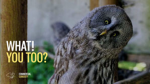 A little curiosity can go a long way.