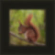 Thumbnail: Red Squirrel