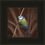 Thumbnail: Blue Tit