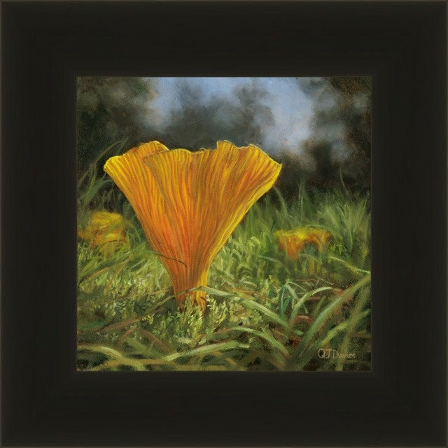 Thumbnail: Golden Chanterelle II