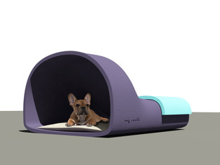 DOG HOUSE CONCEPT