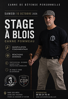 CDO pommeau Blois