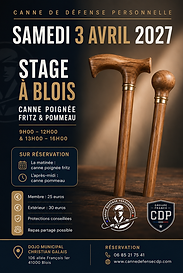 Stage CDP Blois