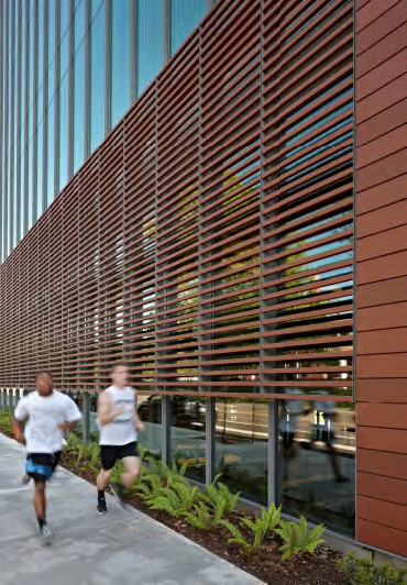 Advantages of terracotta picture