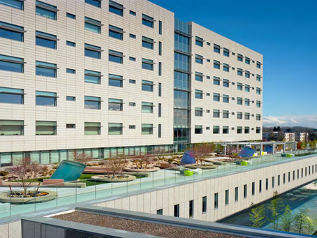 Randall Children's Hospital: Terracotta Rainscreen