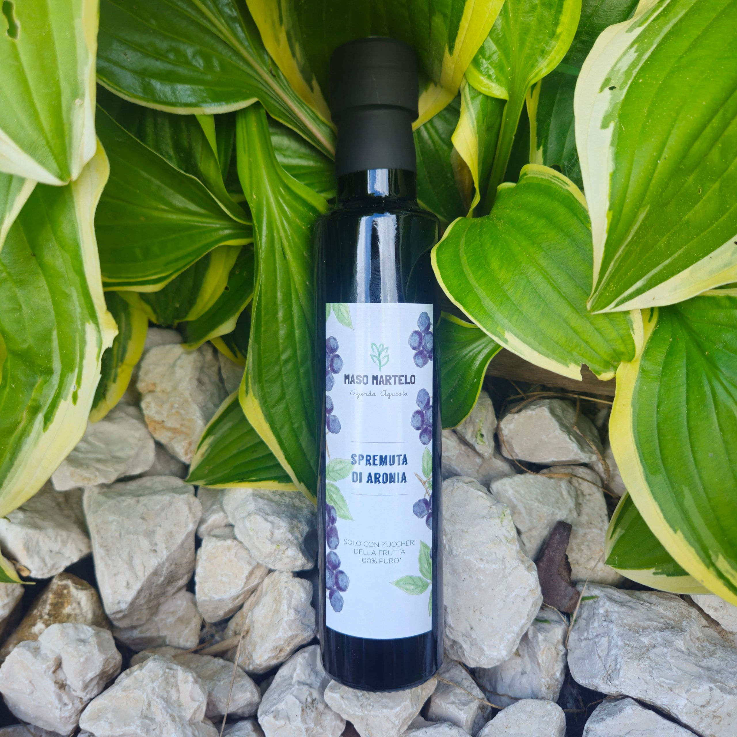 Spremuta di Aronia