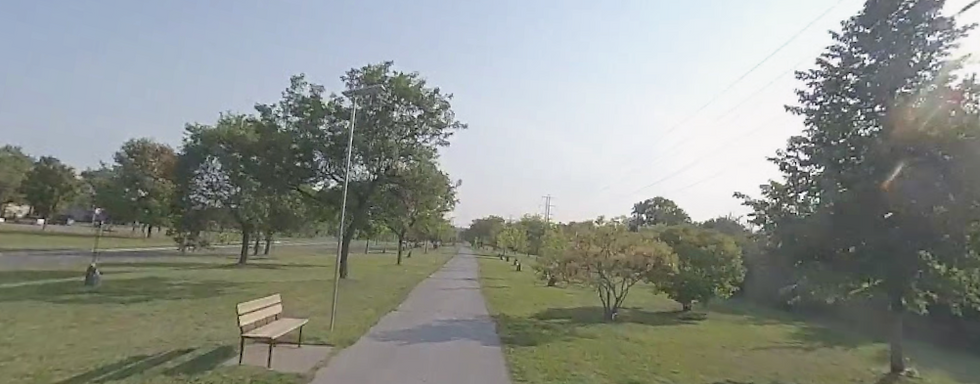 Rooted Together: Community, Nature, and the Built Environment in Windsor's West End