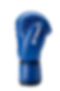 Competition_Approved_Boxing_Gloves_2.0_Blue2_600x_edited.png