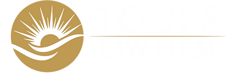 toups logo no background & no tagline - sun filled white.png