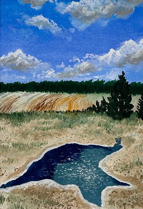 spring in yellowstone national park
