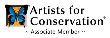 afc_logo-associate-member.png