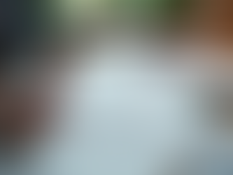 What you need to know about Permitted Development Rights