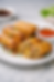 Smoked Chicken or Turkey and Cabbage Eggrolls