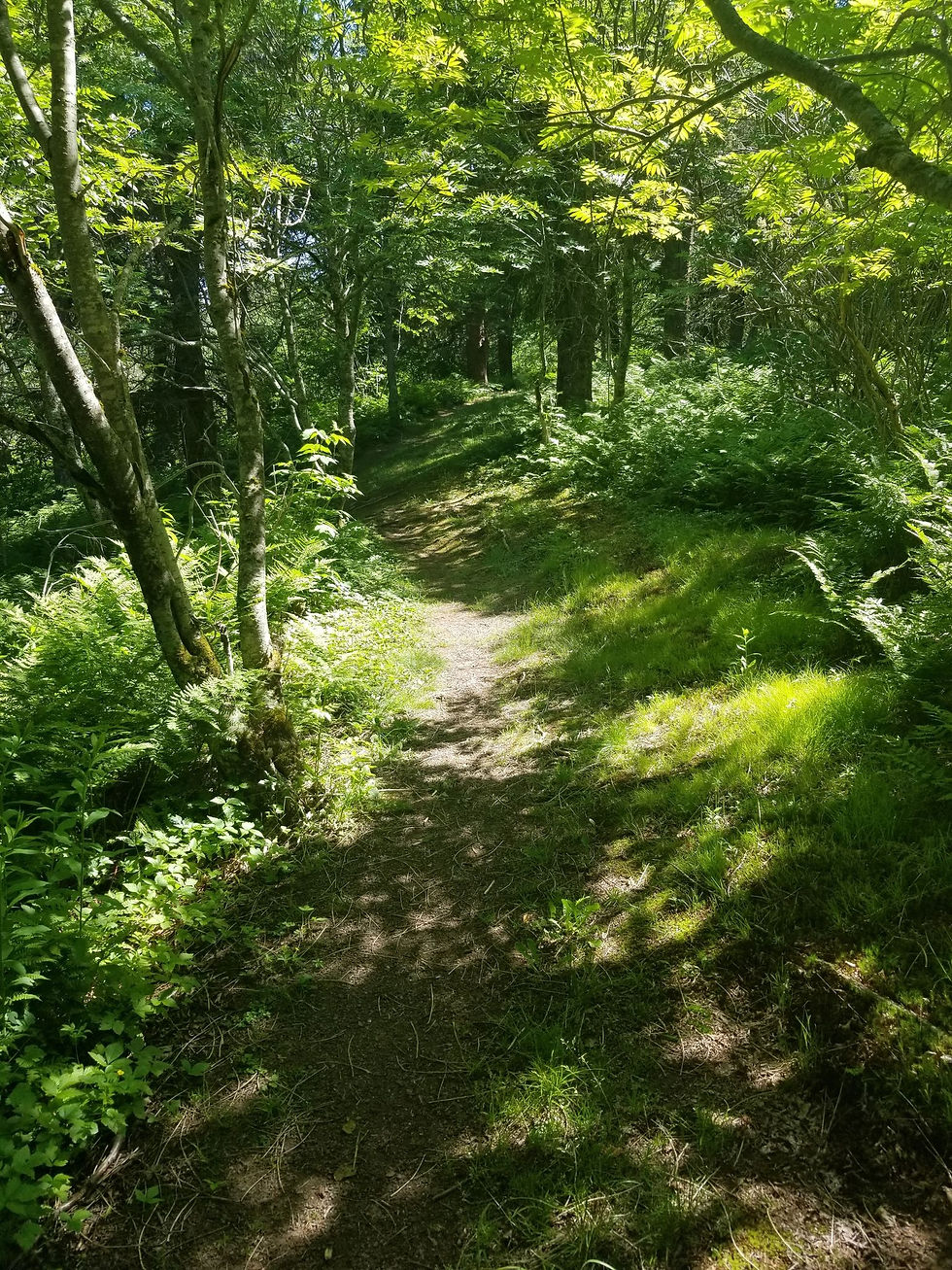 Best Trails in Fundy Trail Provincial Park (Easy to Difficult Guide 2026)