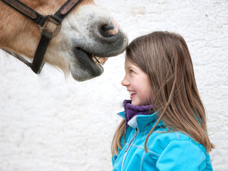 5 Benefits to Equine Camp