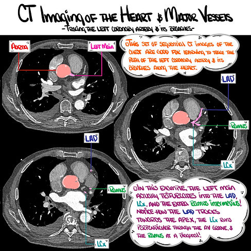 Untitled_Artwork (48).jpg