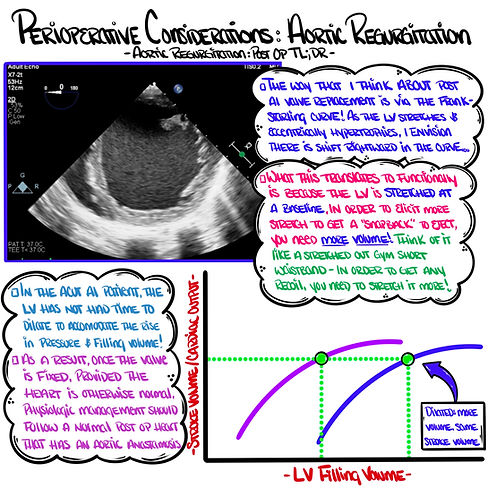 Untitled_Artwork 1 (37).jpg