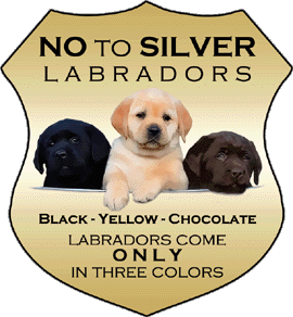 1NoToSilver-gold_350.gif