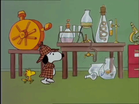 14de4b86330848d0a05f5e6f14c2173a.gif