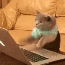research.gif