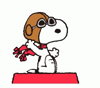 gif-snoopy-11.gif