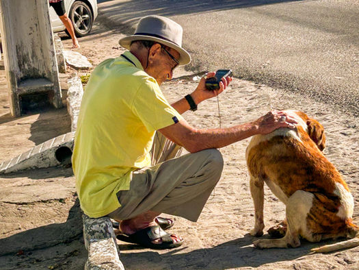 Entre o abandono e a esperança: Dilemas da rede de proteção animal em Campina Grande