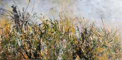 luminita-lupucaafloarei-vibration-of-grass-ii-vibratia-ierbii-ii-2021.jpeg