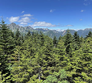 IMG_3427.jpg