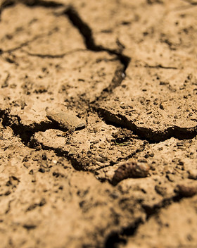 drought-780088_1920.jpg