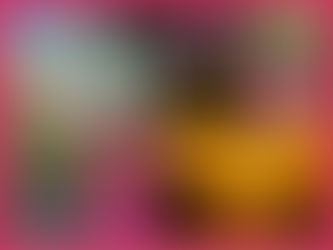 Solucionario De Matematica 1 Edwin Galindo Rapidshare