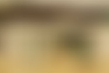 Международен турнир по баскетбол се проведе в Ботевград