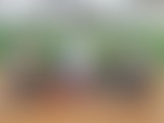 Баскетболен камп в Ботевград