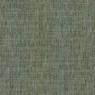 pistacho (Mobile).jpg