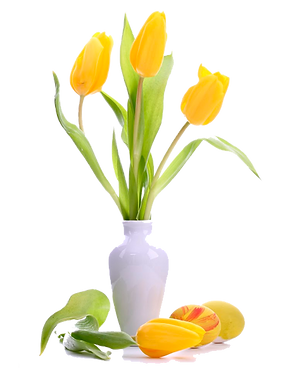FLORERIAS AL SUR DE LA CIUDAD, FLORERÍAS AL SUR DE LA CIUDAD, LOS MEJORES ARREGLOS FLORALES, ARREGLOS FLORALES ORIGINALES, ARREGLOS FLORALES ÚNICOS, DF, D.F., DISTRITO FEDERAL, PERISUR, CONTÁCTANOS, ARREGLOS DE TULIPANES, ROSAS, LISIANTHUS, FOLLAJE, BOUQUE