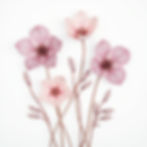 Papel de Parede Flores
