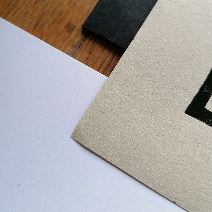Miniaturbild: FEDERSCHMUCK