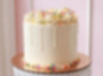 Vanilla Party Cake