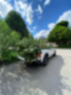 IMG-20250305-WA0017