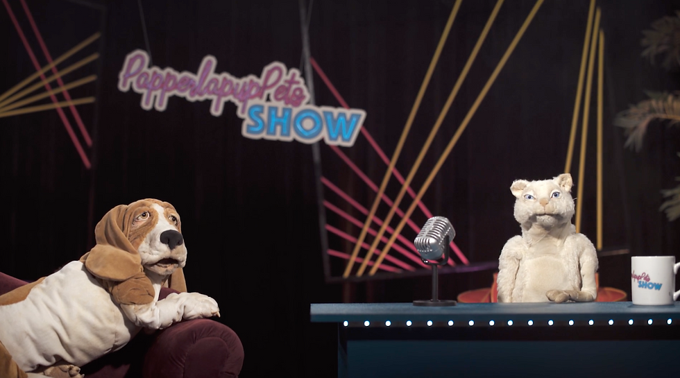 PILOT _ PappalapapPets Show