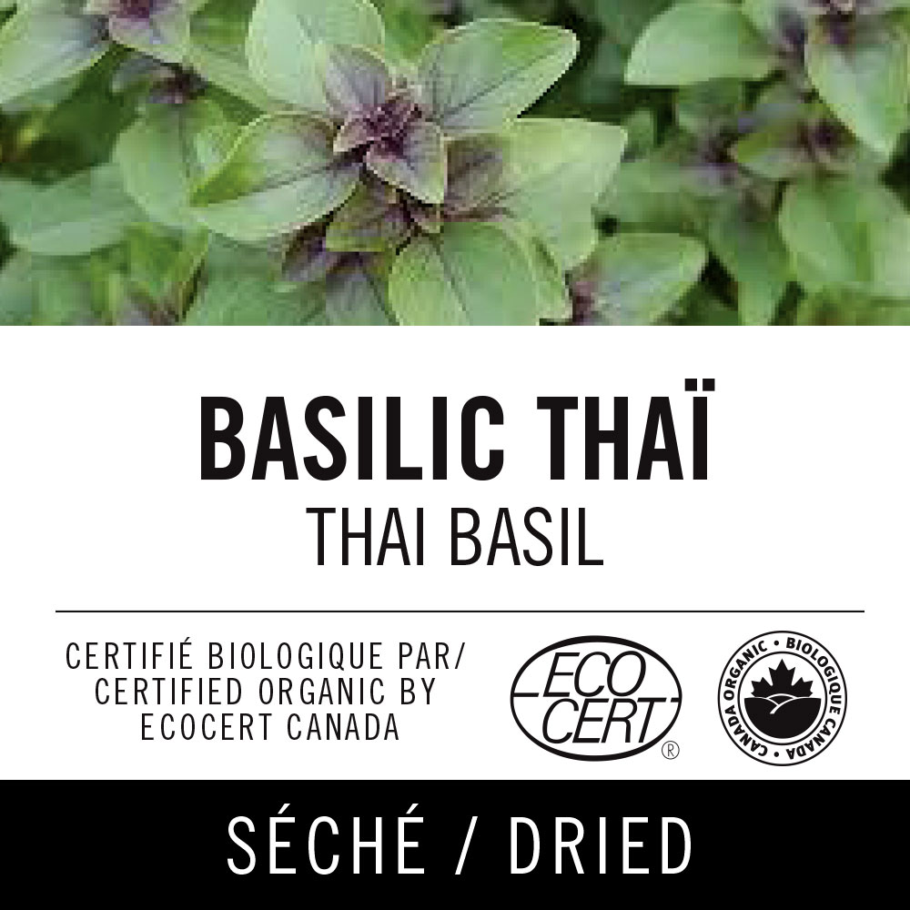 Basilic thaï - Thai basil