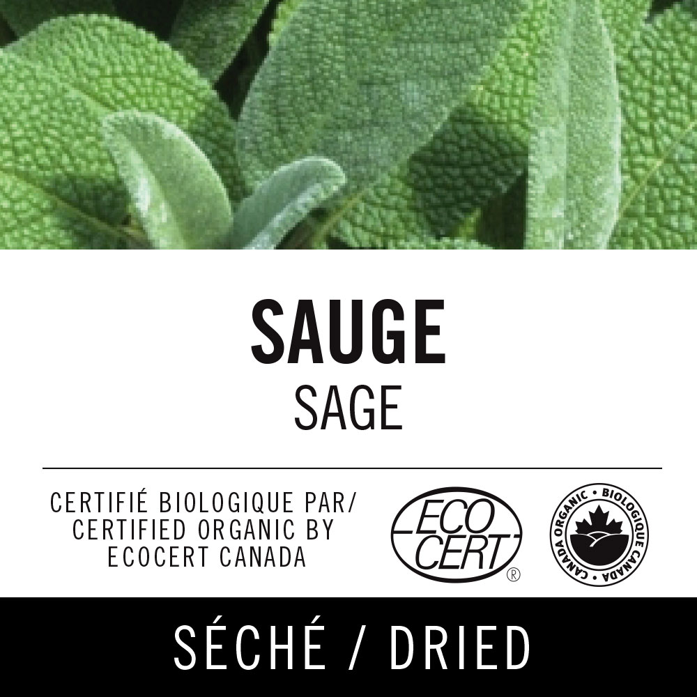 Sauge - Sage