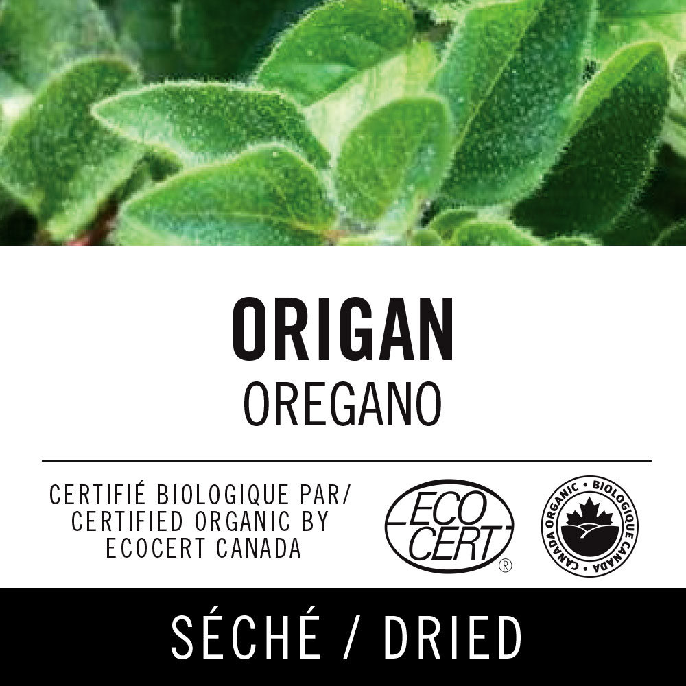 Origan - oregano