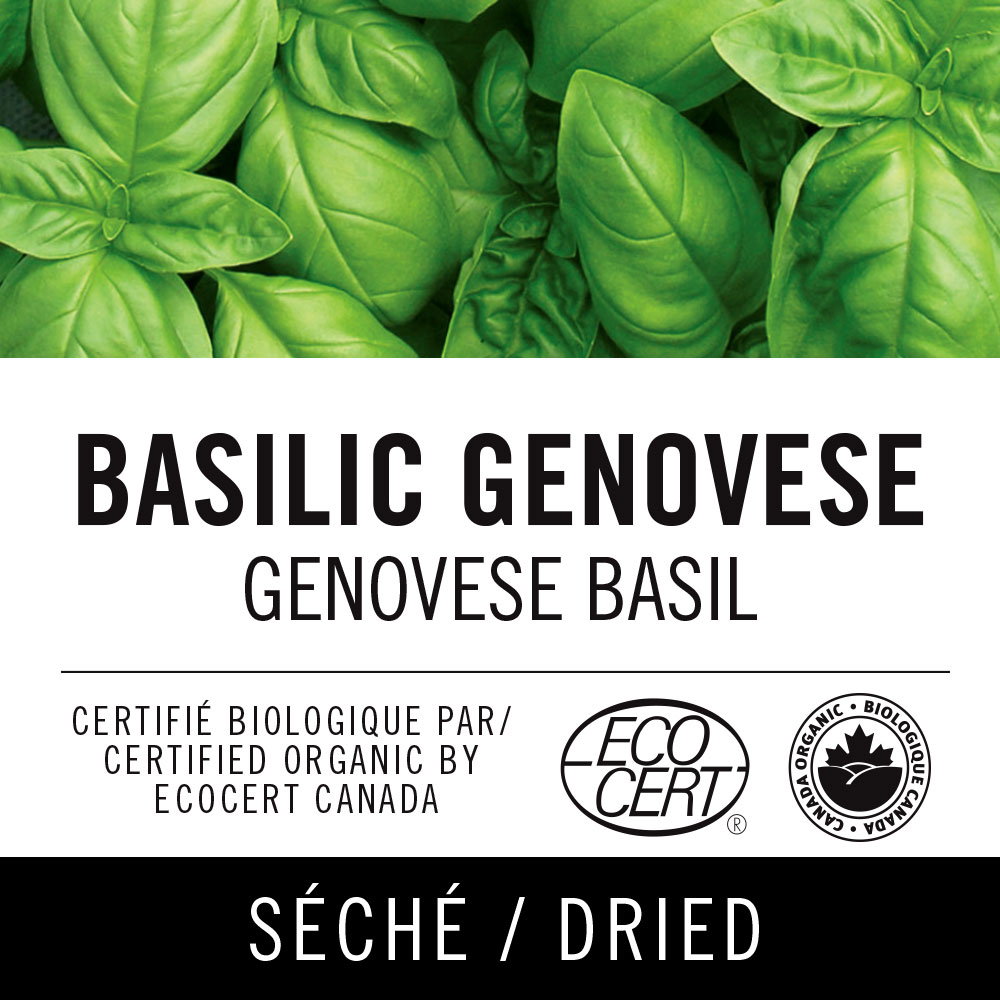 Basilic genovese - Genovese basil
