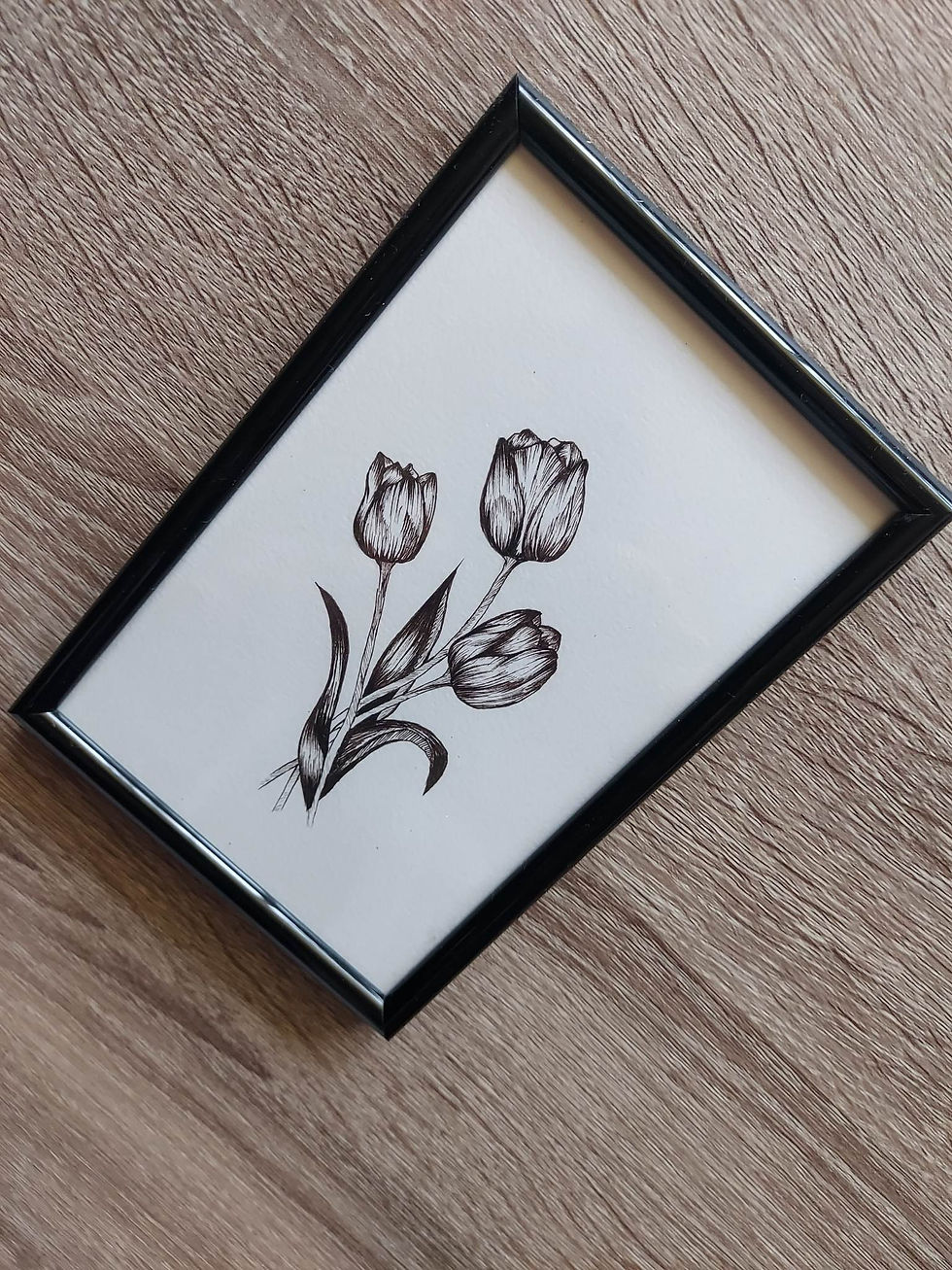 TULIPANY 1