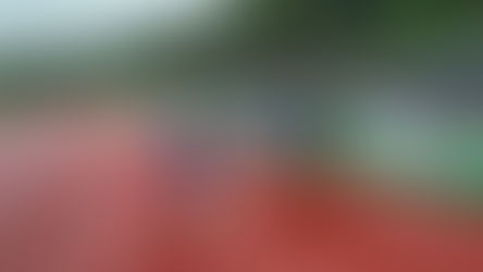 【⭐︎魅力☆】春合宿の紹介