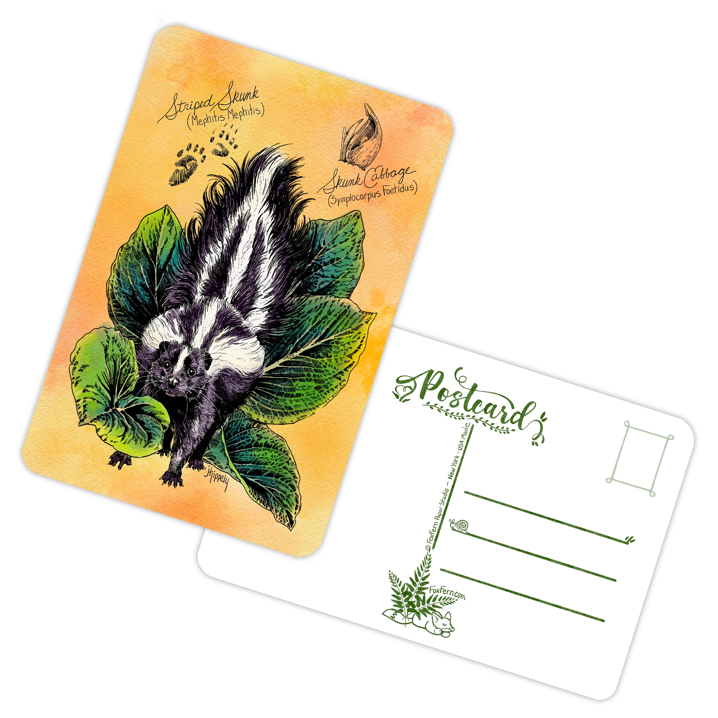 Skunk & Cabbage - Animal & Botanicals Pen Art - Pack of 5 Postcards - 4x6"