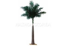 New Style Indonesia Big Emperor Coco Tree