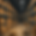 A68A45D4-116E-4139-862A-D3521AA7C705.PNG
