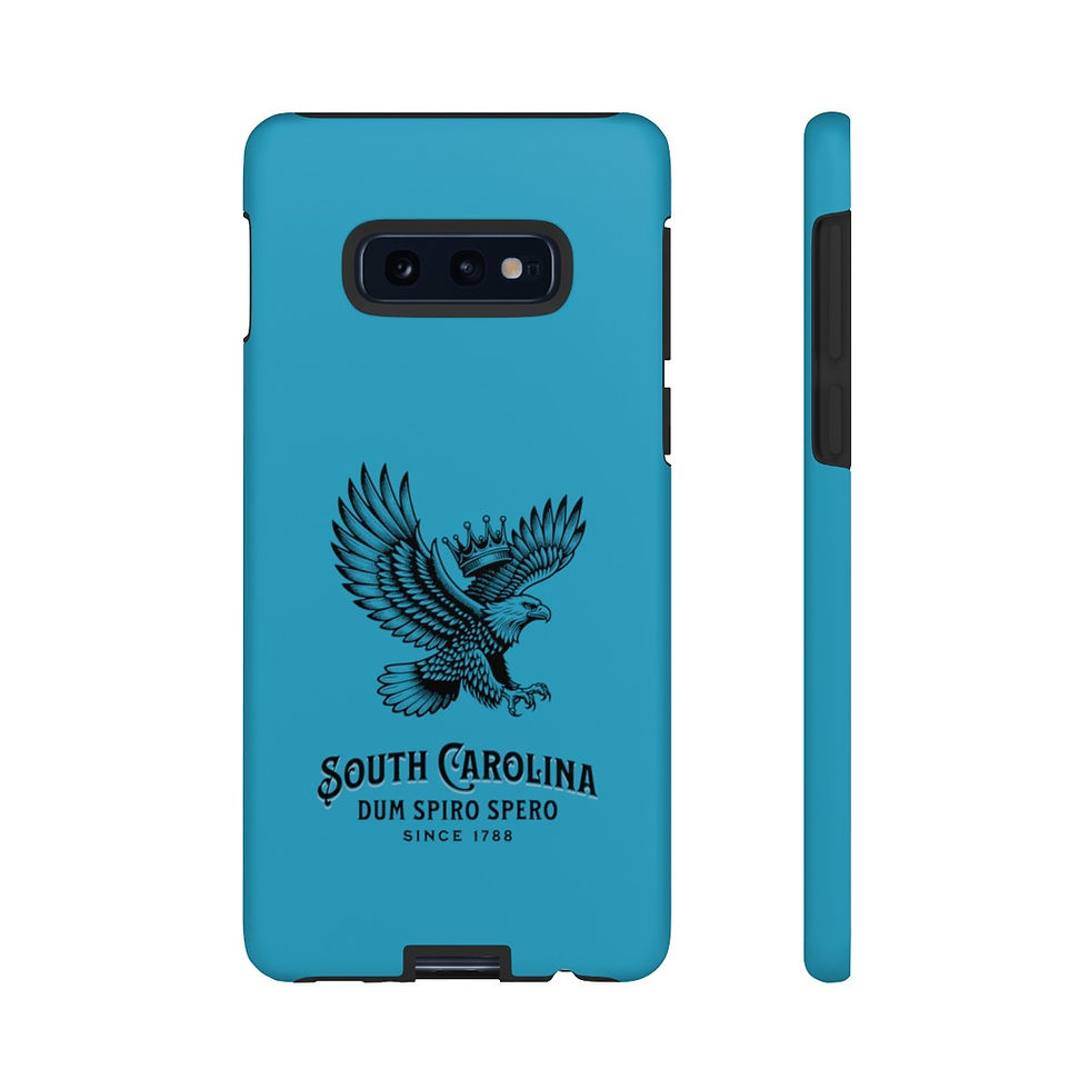 Thumbnail: South Carolina Eagle: Tough Cases